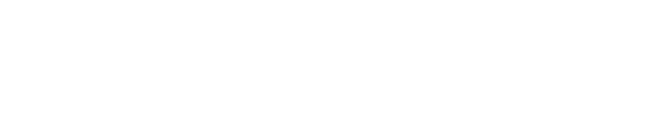 SSENSE